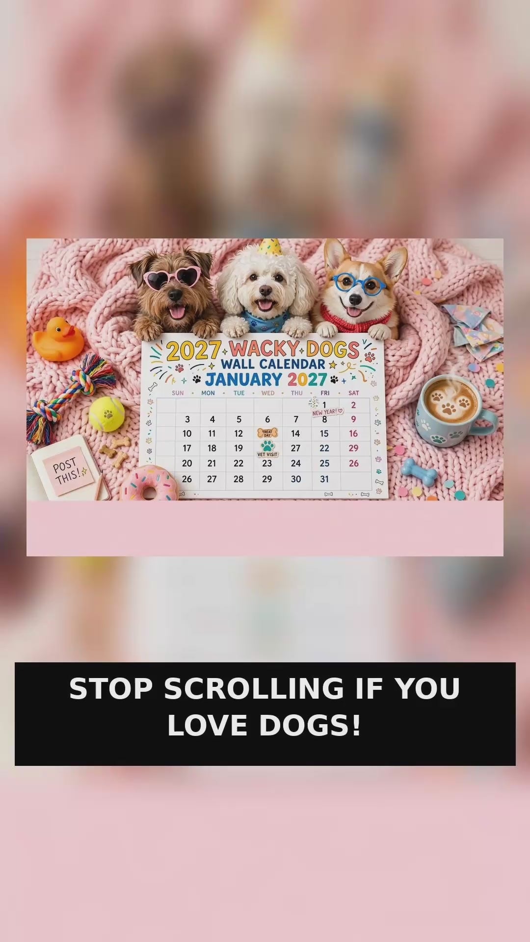 0145 Wacky Dogs Calendar 2027 - Funny 12 Month Wall Calendar 21x21cm | Twin-Wire Binding | Dog Lover Gift